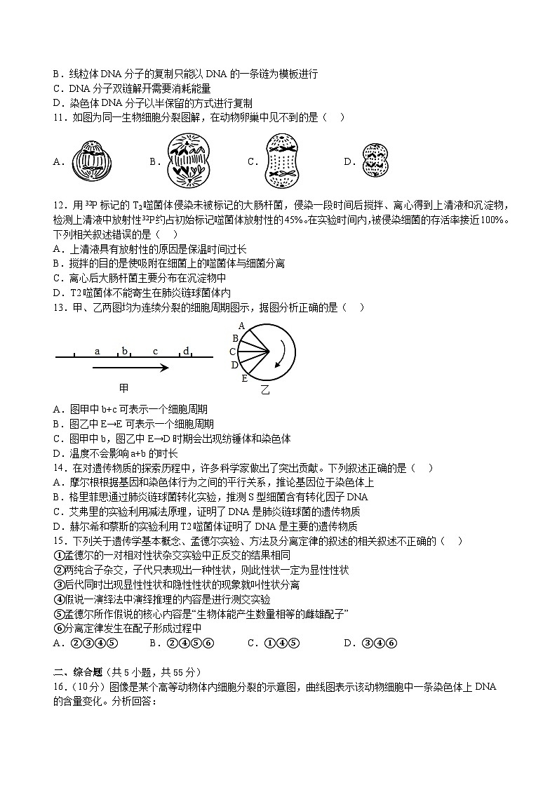 重庆市万州纯阳中学2022-2023学年高一下学期期中考试生物（B）试题第2页