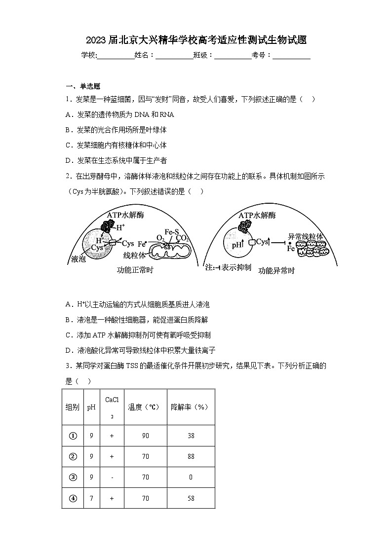2023届北京大兴精华学校高考适应性测试生物试题（含解析）第1页