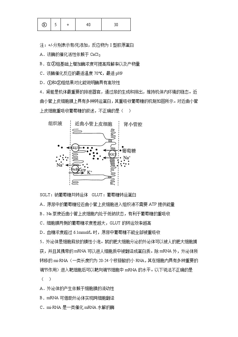 2023届北京大兴精华学校高考适应性测试生物试题（含解析）第2页