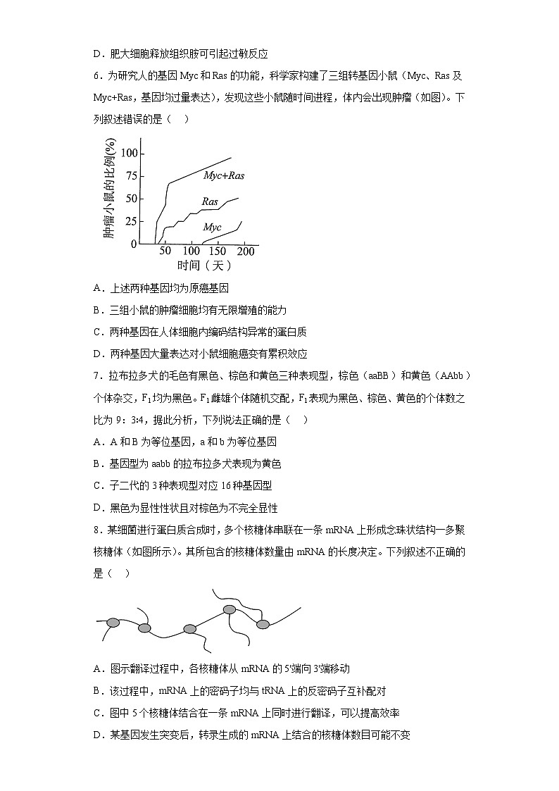 2023届北京大兴精华学校高考适应性测试生物试题（含解析）第3页