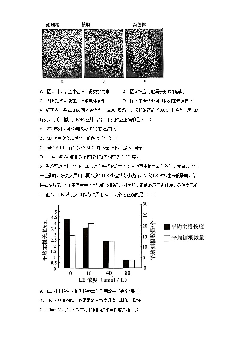 2023届黑龙江省大庆实验一部高三下学期5月得分训练理综生物试题（含解析）02