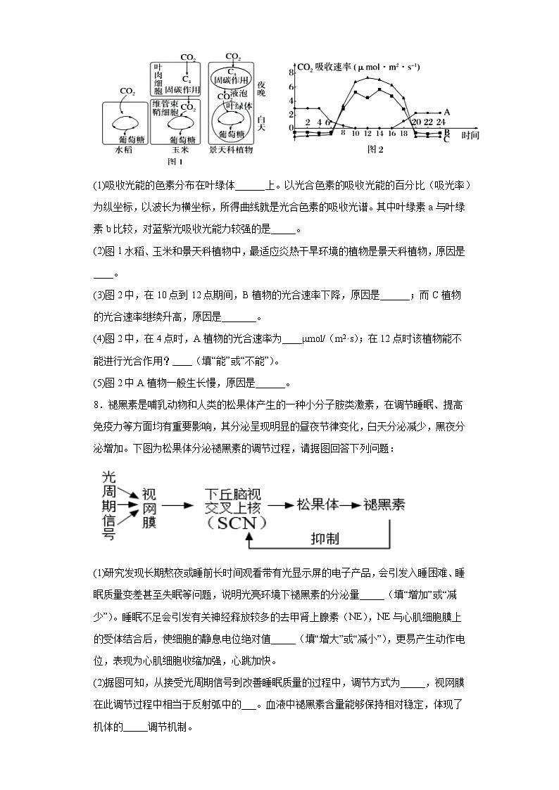 2023届河南郑州外国语学校高三全真模拟卷理综五生物试题（含解析）第3页