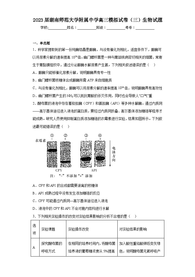 2023届湖南师范大学附属中学高三模拟试卷（三）生物试题（含解析）01