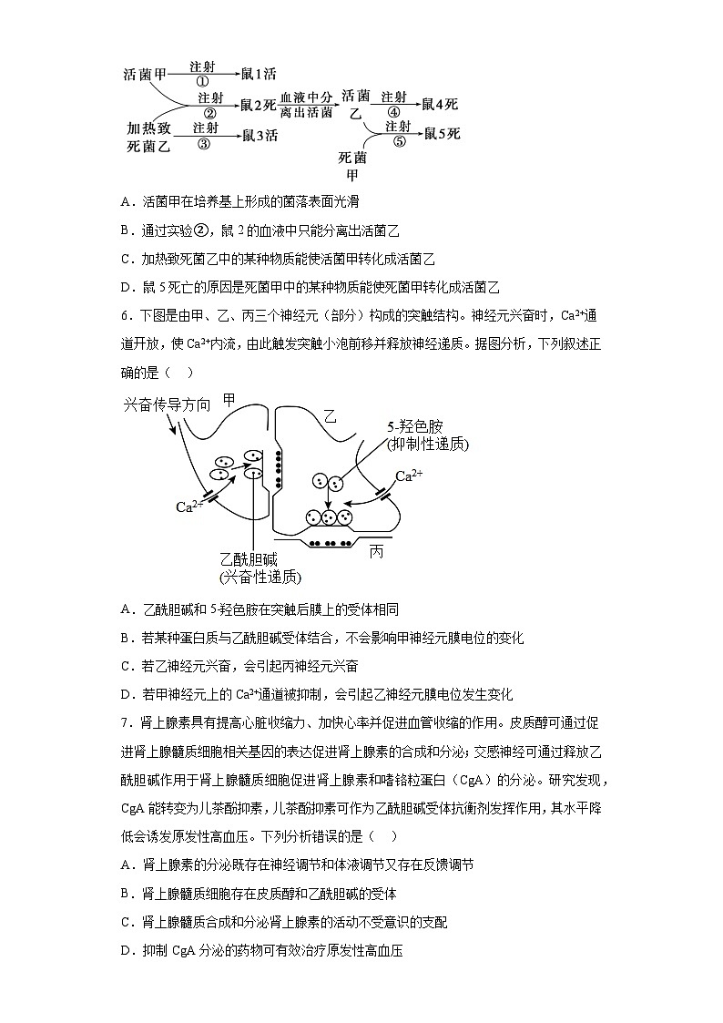 2023届湖南师范大学附属中学高三模拟试卷（三）生物试题（含解析）03