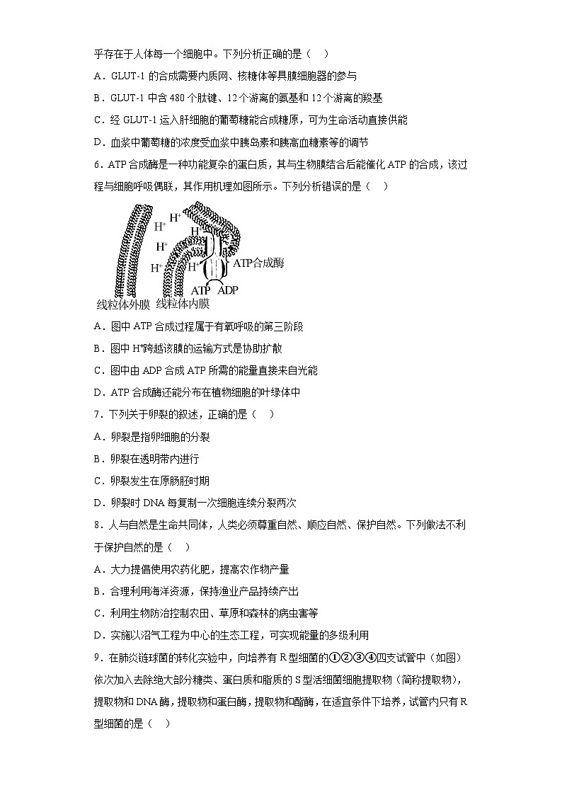 2023届辽宁省部分学校高三5月模拟考试生物试题（含解析）第2页