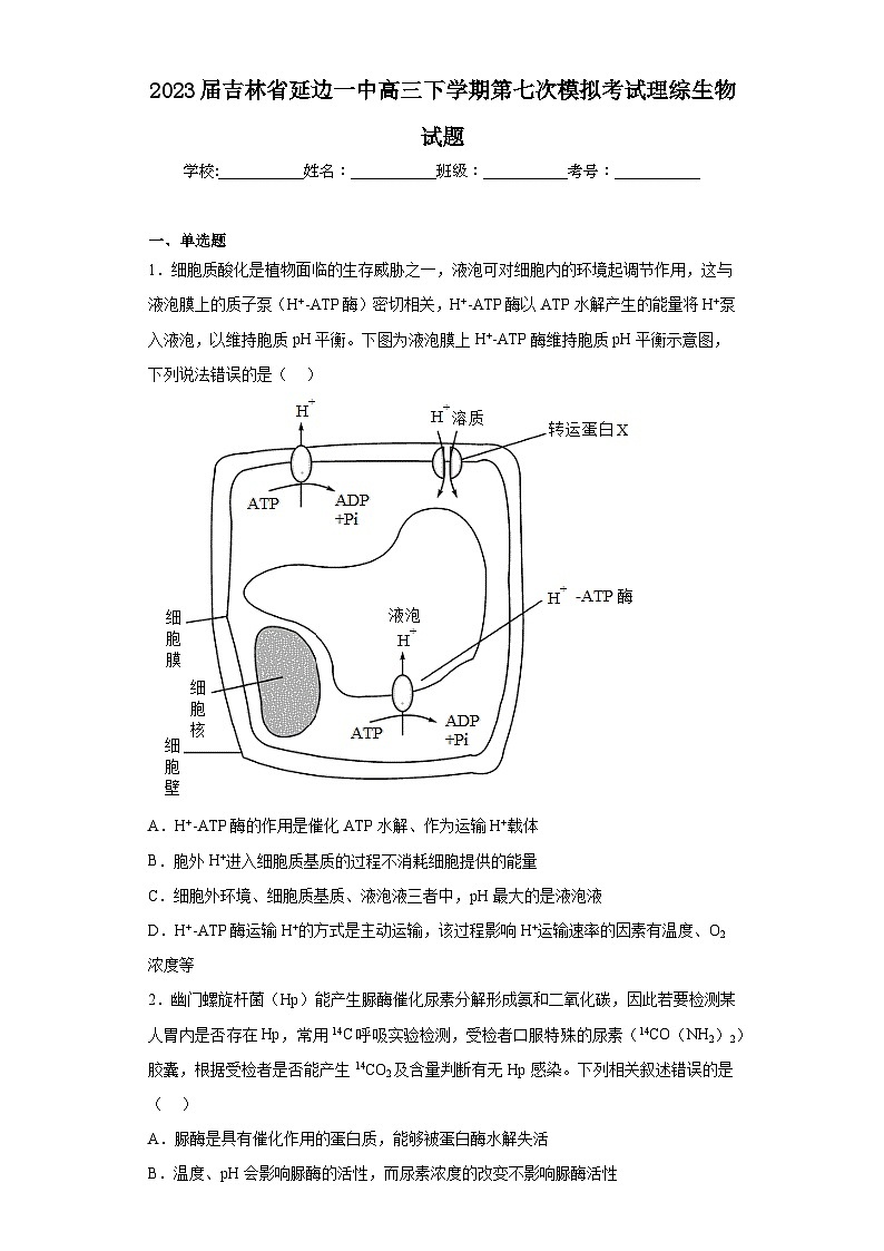 2023届吉林省延边一中高三下学期第七次模拟考试理综生物试题（含解析）01