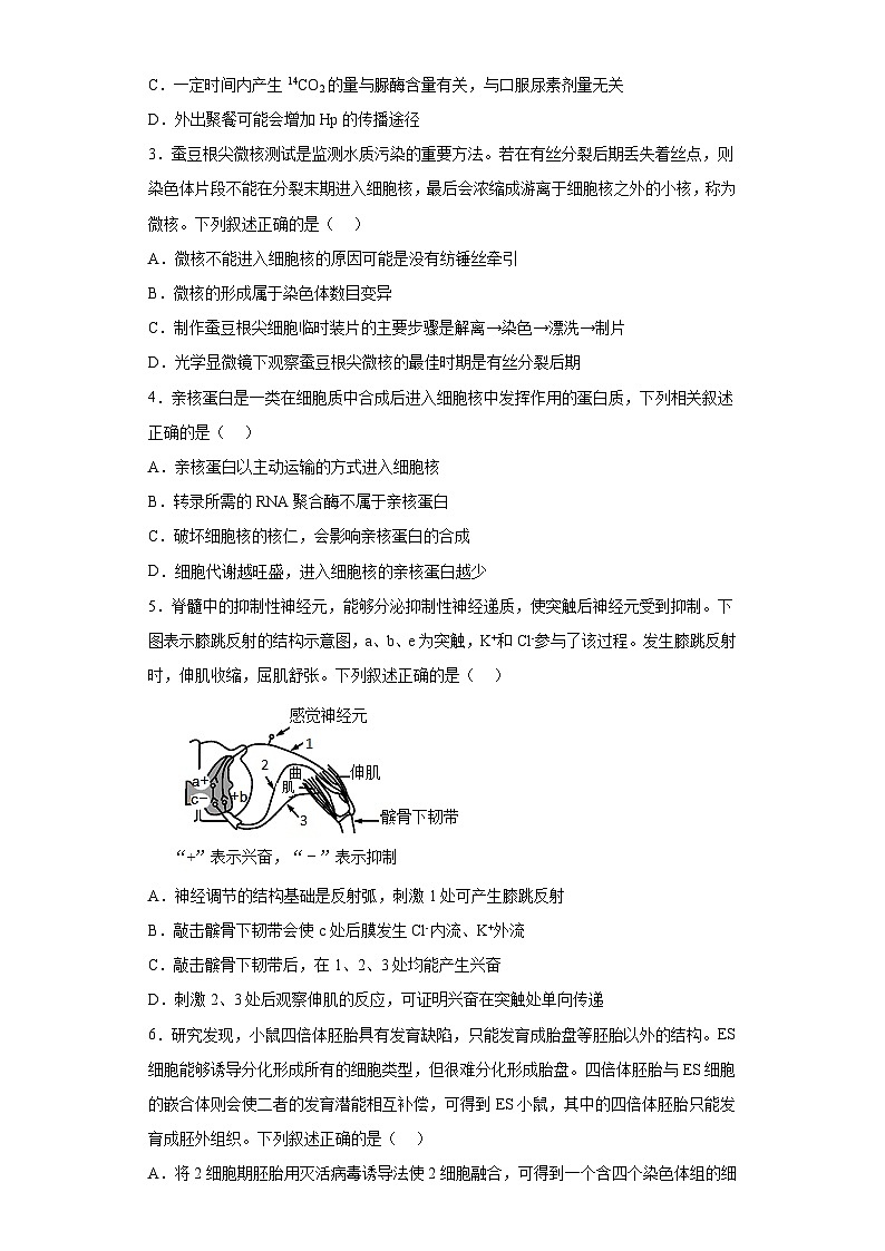 2023届吉林省延边一中高三下学期第七次模拟考试理综生物试题（含解析）02