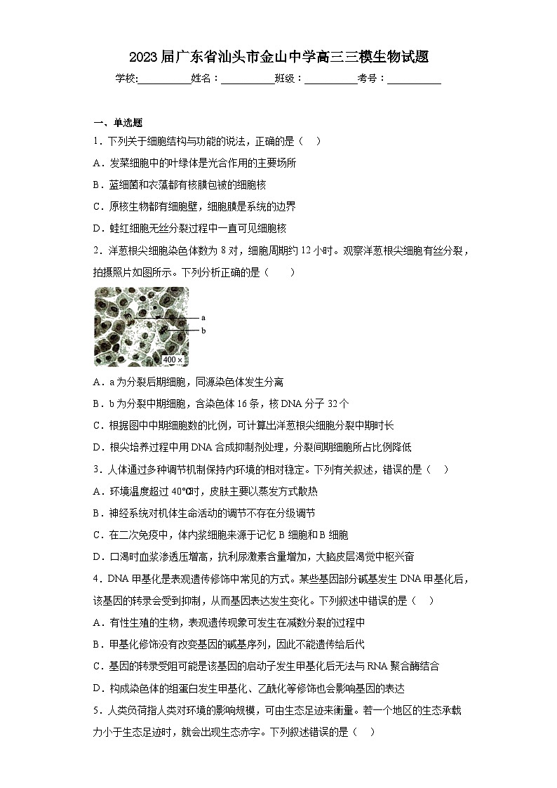 2023屇广东省汕头市金山中学高三三模生物试题（含解析）01