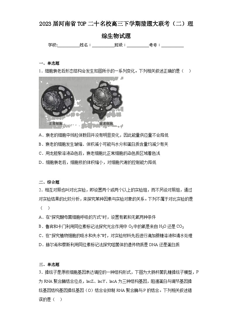 2023届河南省TOP二十名校高三下学期猜题大联考（二）理综生物试题（含解析）第1页