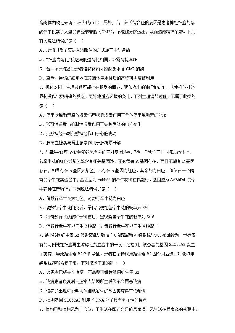 2023届河北省廊坊市八中高三考前模拟生物试题（含解析）第2页