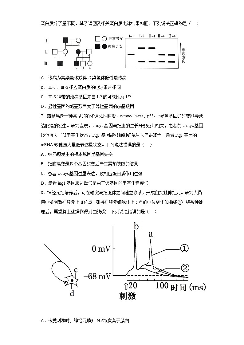 2023届山东省潍坊市东部县市高三三模生物试题（含解析）03