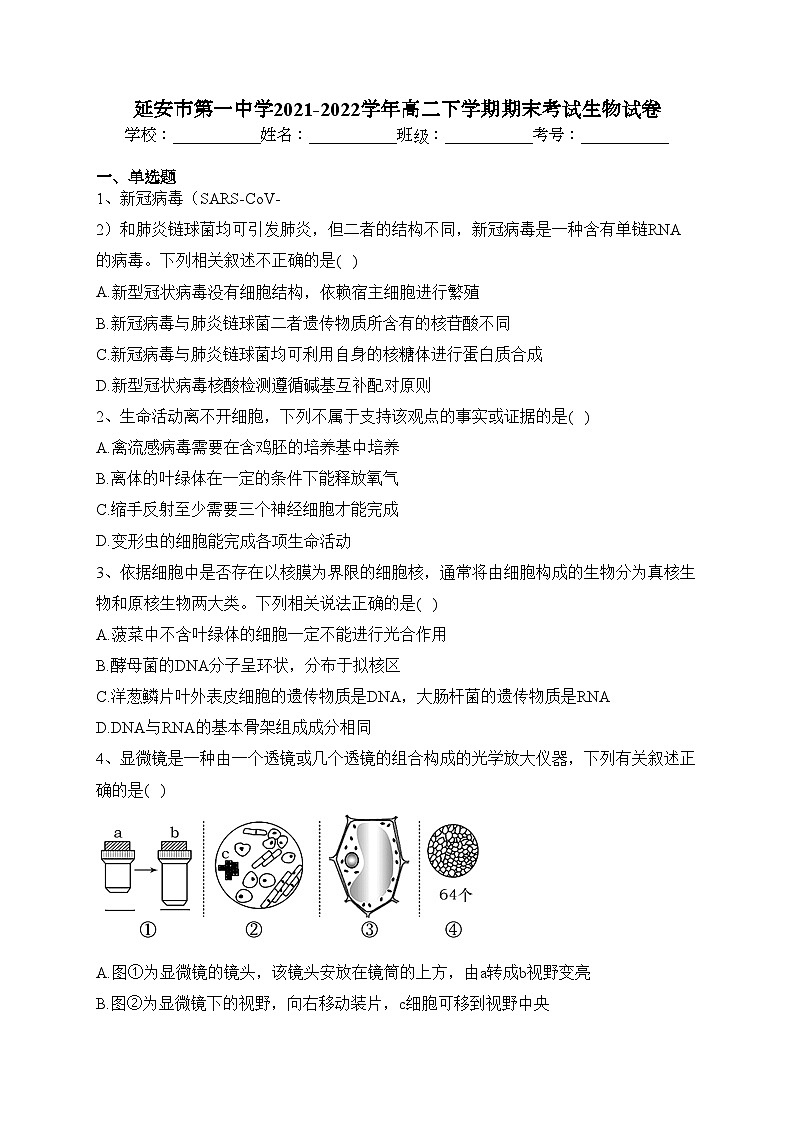 延安市第一中学2021-2022学年高二下学期期末考试生物试卷（含答案）01