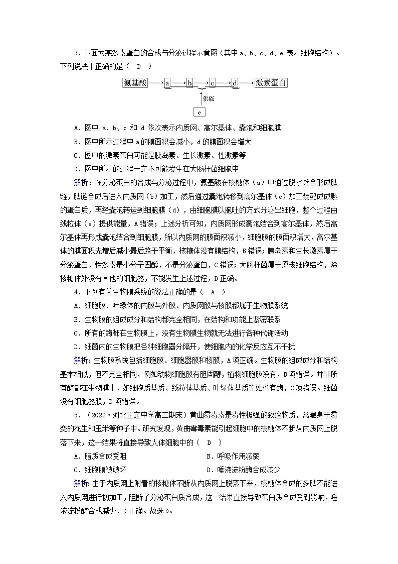 新教材2023年高中生物第3章细胞的基本结构第2节细胞器之间的分工合作第2课时细胞器之间的协调配合和细胞的生物膜系统夯基提能作业新人教版必修102