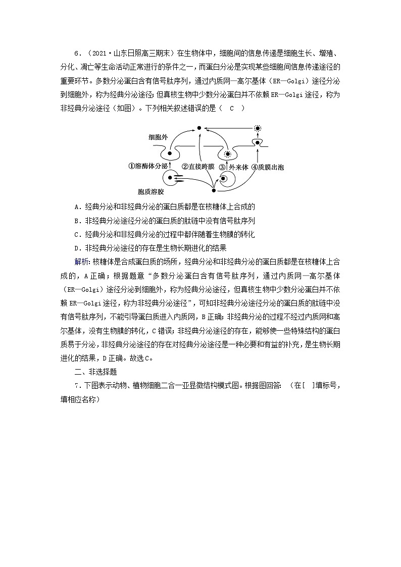 新教材2023年高中生物第3章细胞的基本结构第2节细胞器之间的分工合作第2课时细胞器之间的协调配合和细胞的生物膜系统夯基提能作业新人教版必修103