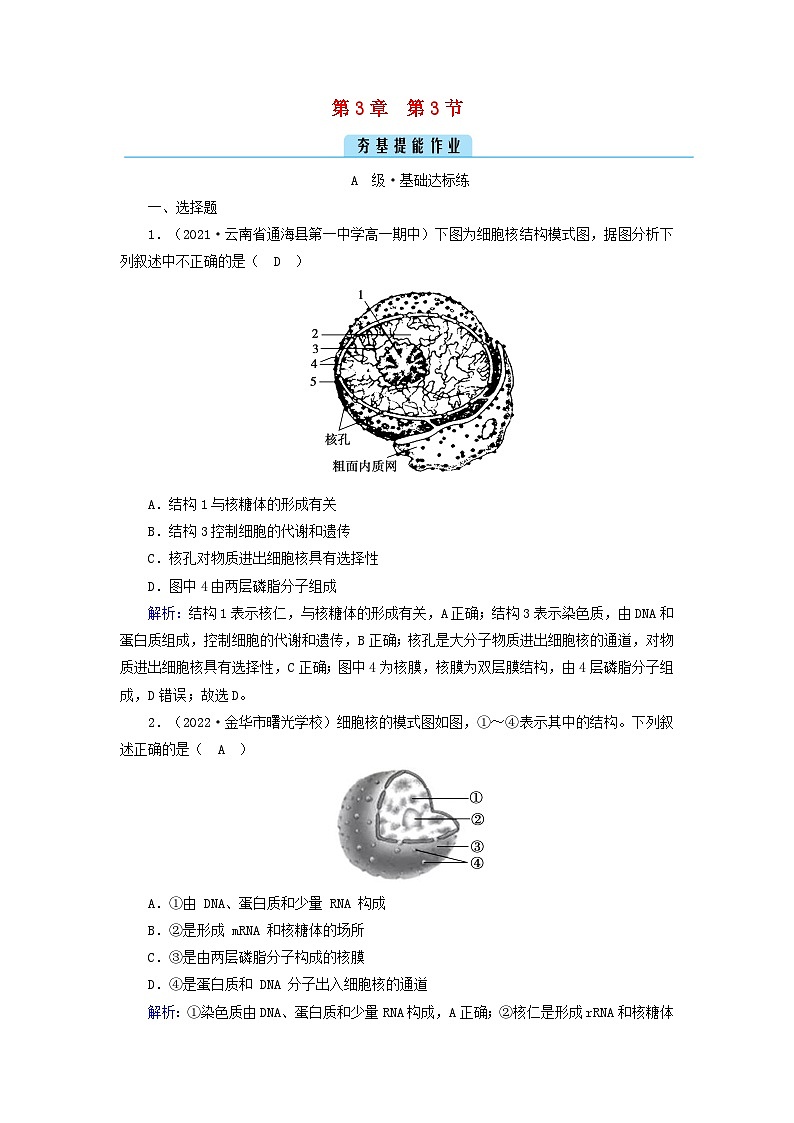 新教材2023年高中生物第3章细胞的基本结构第3节细胞核的结构和功能夯基提能作业新人教版必修1第1页