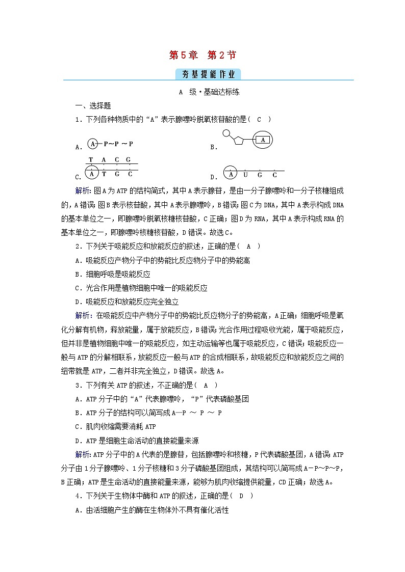 新教材2023年高中生物第5章细胞的能量供应和利用第2节细胞的能量“货币”ATP夯基提能作业新人教版必修1第1页