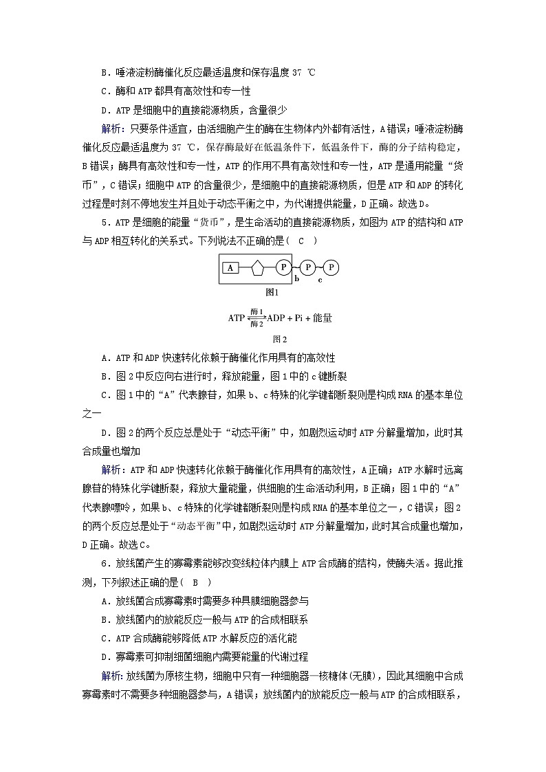 新教材2023年高中生物第5章细胞的能量供应和利用第2节细胞的能量“货币”ATP夯基提能作业新人教版必修1第2页