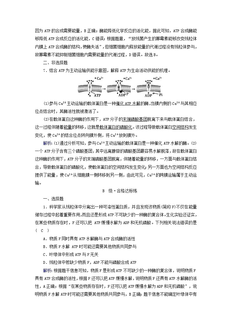 新教材2023年高中生物第5章细胞的能量供应和利用第2节细胞的能量“货币”ATP夯基提能作业新人教版必修1第3页