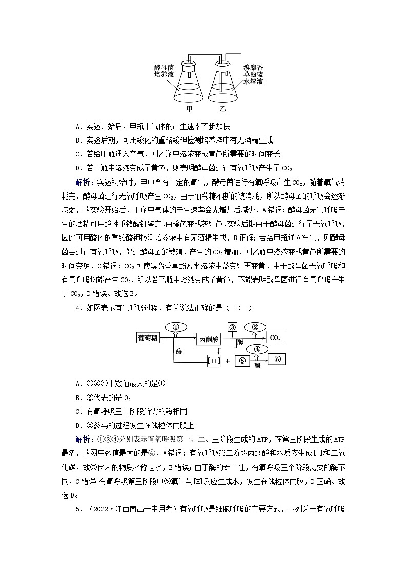 新教材2023年高中生物第5章细胞的能量供应和利用第3节细胞呼吸的原理和应用第1课时细胞呼吸的方式和有氧呼吸过程夯基提能作业新人教版必修102