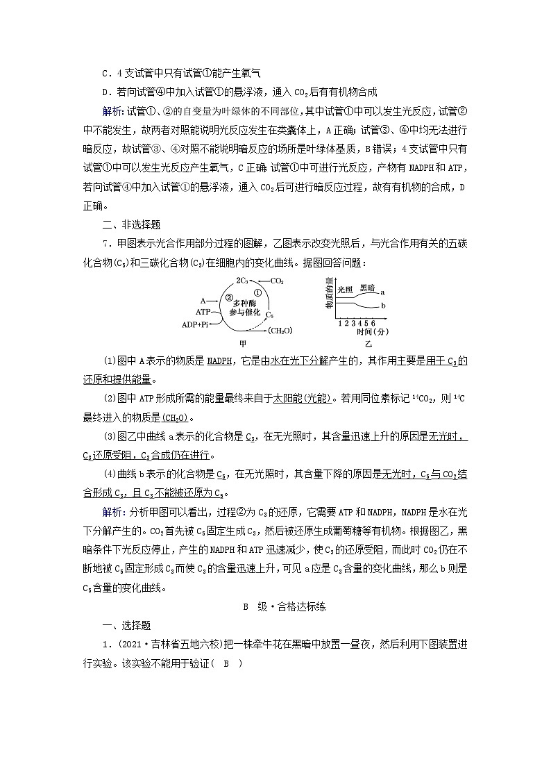 新教材2023年高中生物第5章细胞的能量供应和利用第4节光合作用与能量转化第2课时光合作用的原理夯基提能作业新人教版必修1第3页