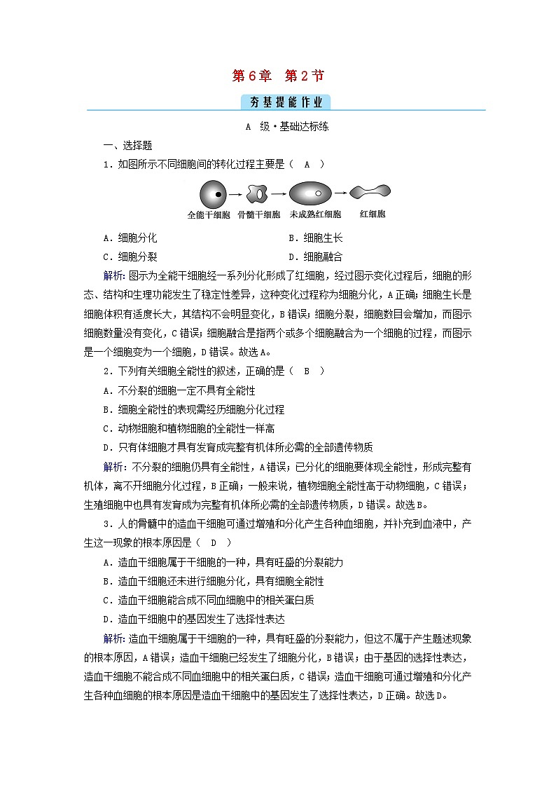 新教材2023年高中生物第6章细胞的生命历程第2节细胞的分化夯基提能作业新人教版必修101