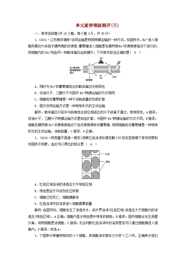 新教材2023年高中生物单元素养等级测评3新人教版必修1第1页