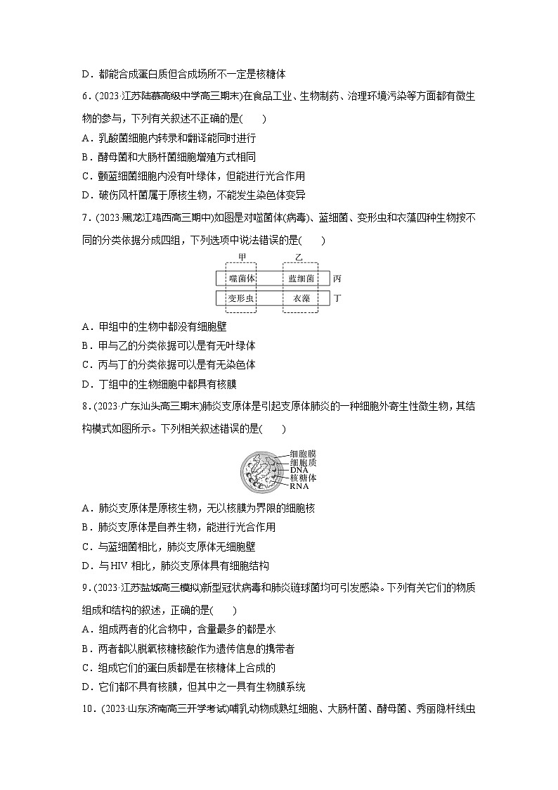 2024届高三生物一轮复习基础夯实练1：走近细胞第2页