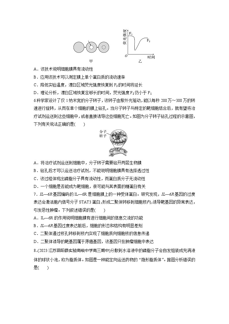 2024届高三生物一轮复习基础夯实练5：细胞膜的结构和功能第2页