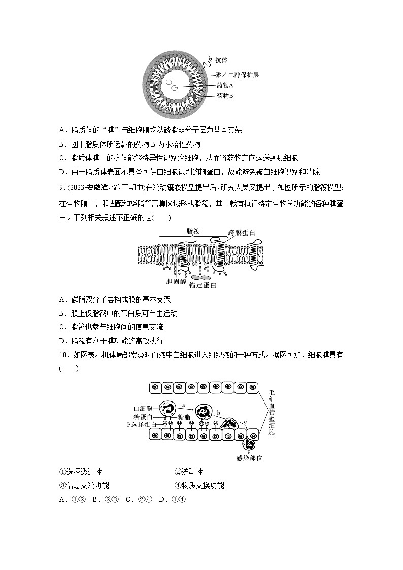 2024届高三生物一轮复习基础夯实练5：细胞膜的结构和功能第3页