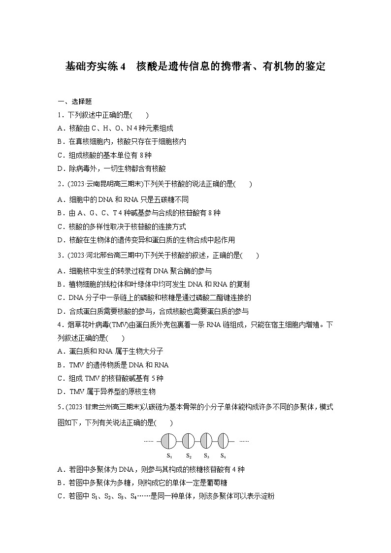 2024届高三生物一轮复习基础夯实练4：核酸是遗传信息的携带者、有机物的鉴定第1页