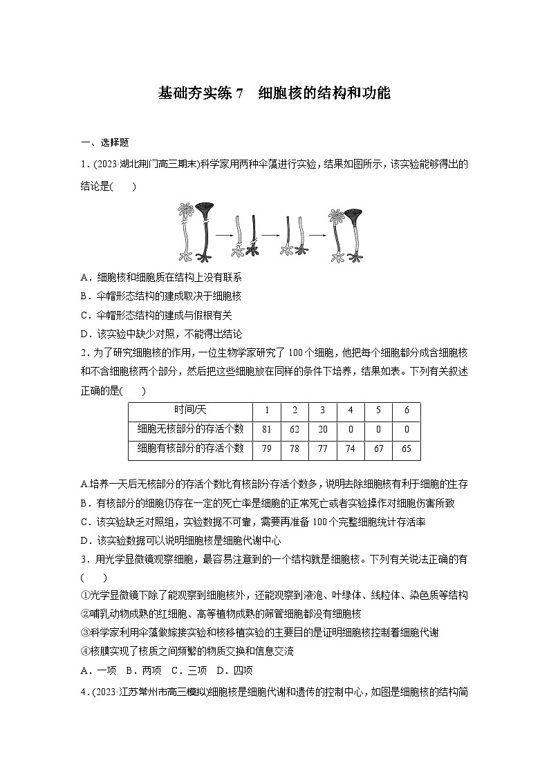 2024届高三生物一轮复习基础夯实练7：细胞核的结构和功能第1页