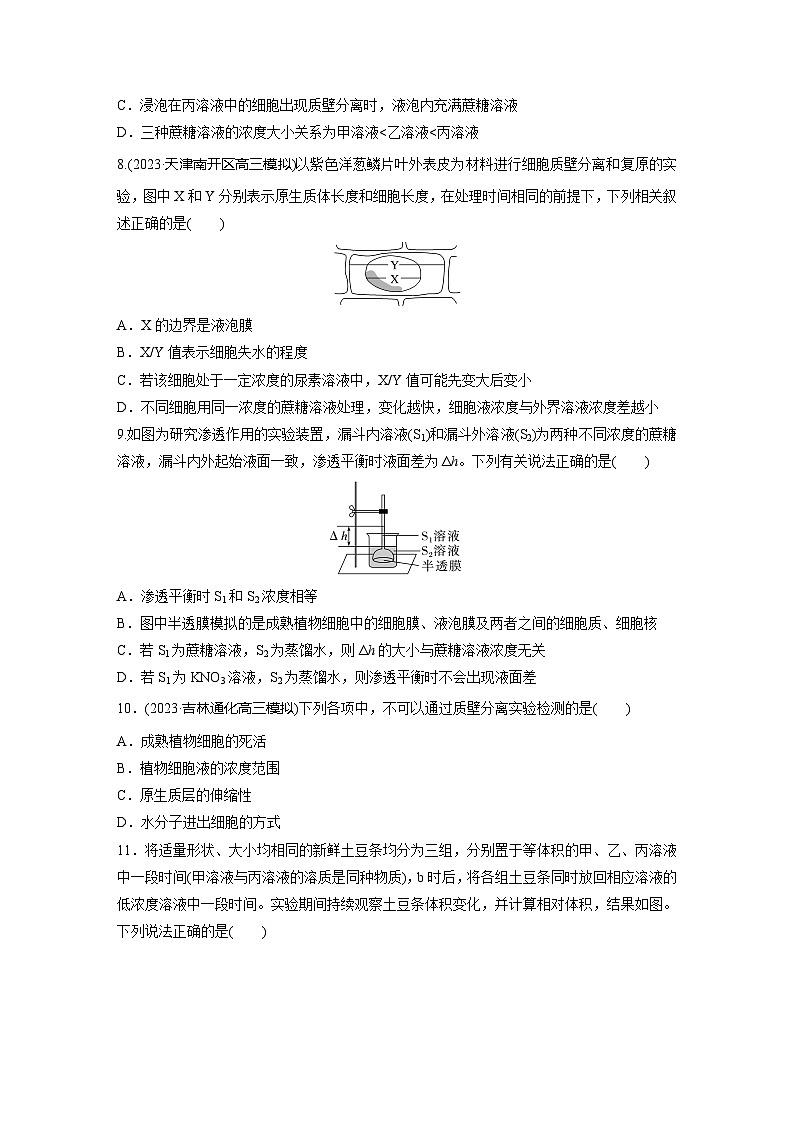 2024届高三生物一轮复习基础夯实练8：水进出细胞的原理03