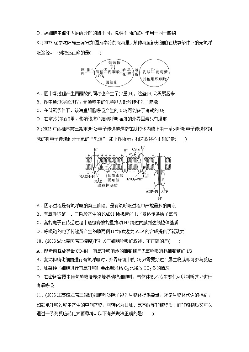 2024届高三生物一轮复习基础夯实练12：细胞呼吸的方式和过程第3页