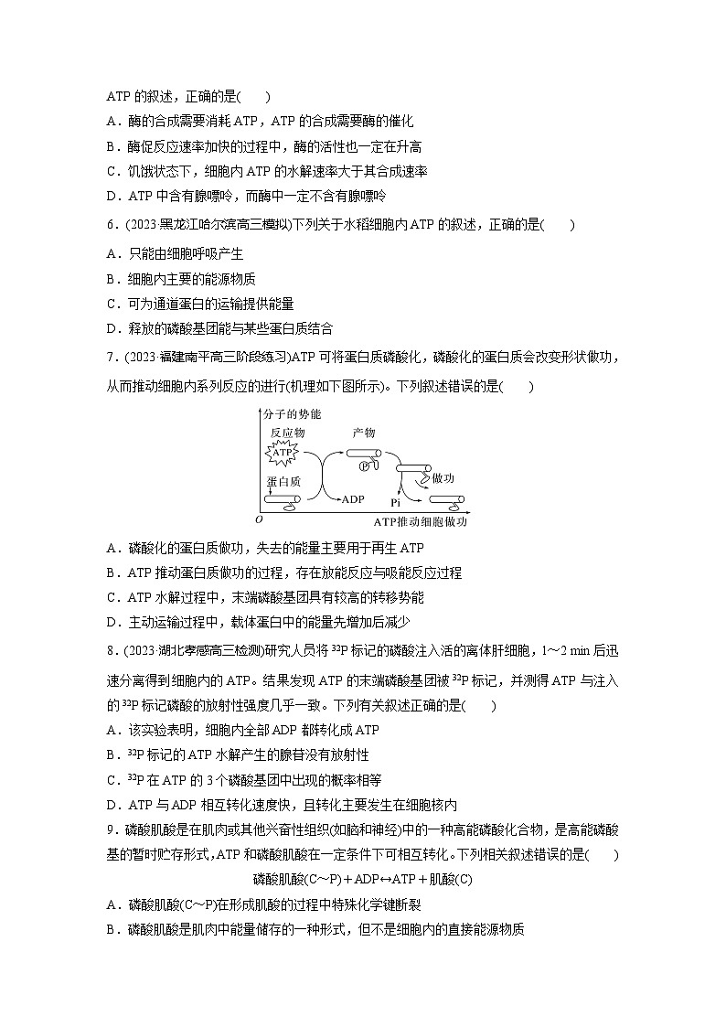 2024届高三生物一轮复习基础夯实练11：细胞的能量“货币”ATP第2页