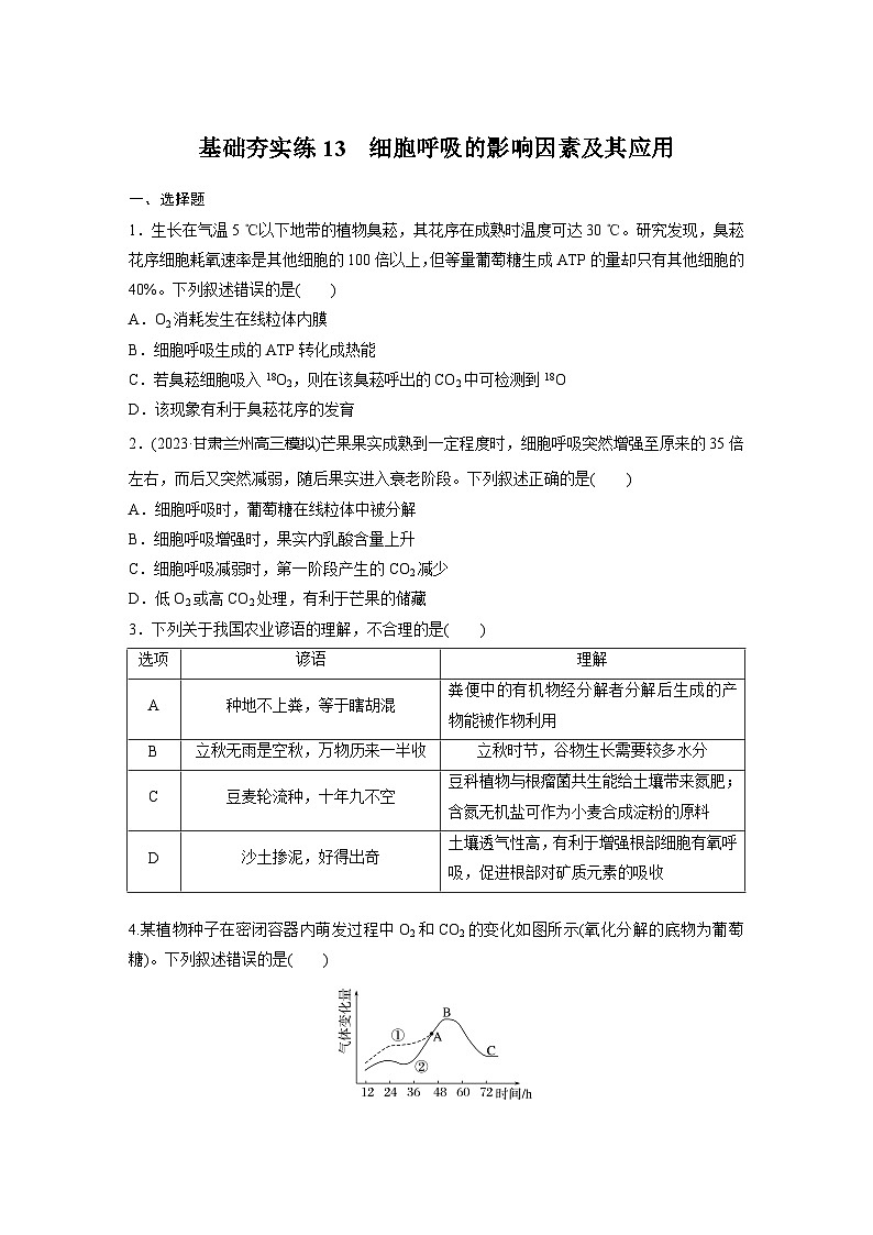 2024届高三生物一轮复习基础夯实练13：细胞呼吸的影响因素及其应用第1页