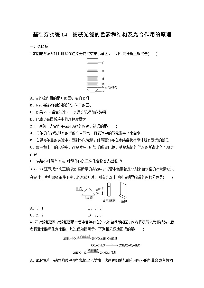 2024届高三生物一轮复习基础夯实练14：捕获光能的色素和结构及光合作用的原理第1页