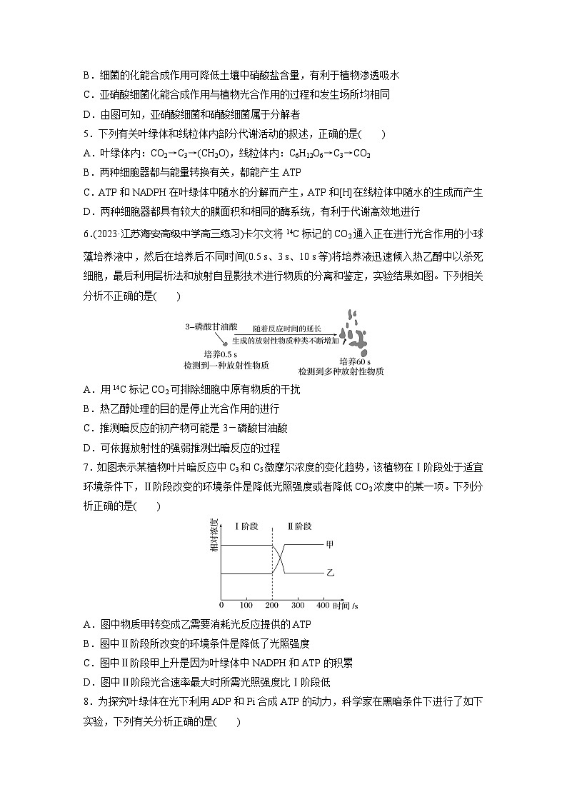 2024届高三生物一轮复习基础夯实练14：捕获光能的色素和结构及光合作用的原理第2页