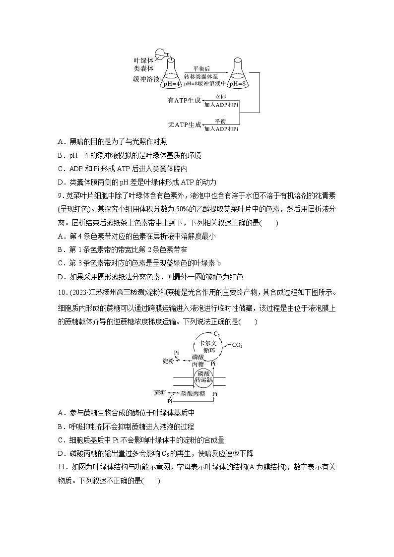 2024届高三生物一轮复习基础夯实练14：捕获光能的色素和结构及光合作用的原理第3页