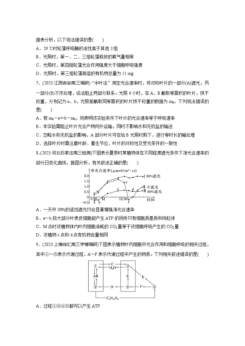 2024届高三生物一轮复习基础夯实练16：光合作用和细胞呼吸的综合分析第3页