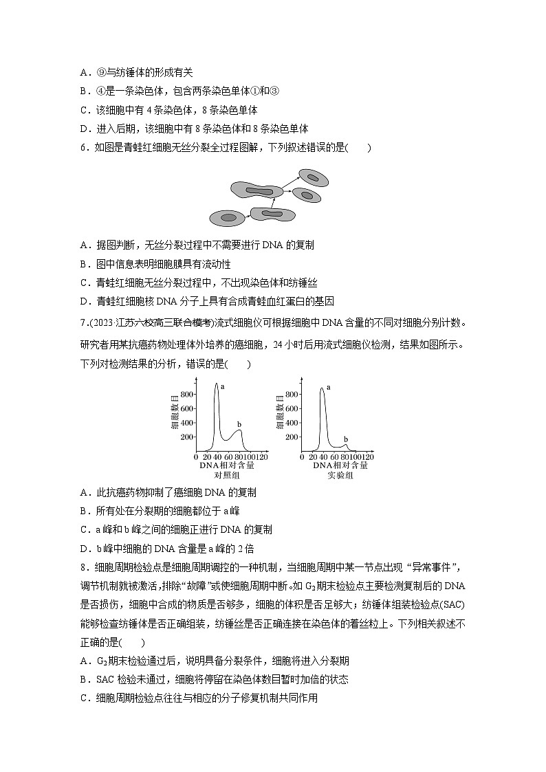 2024届高三生物一轮复习基础夯实练17：细胞的增殖第2页
