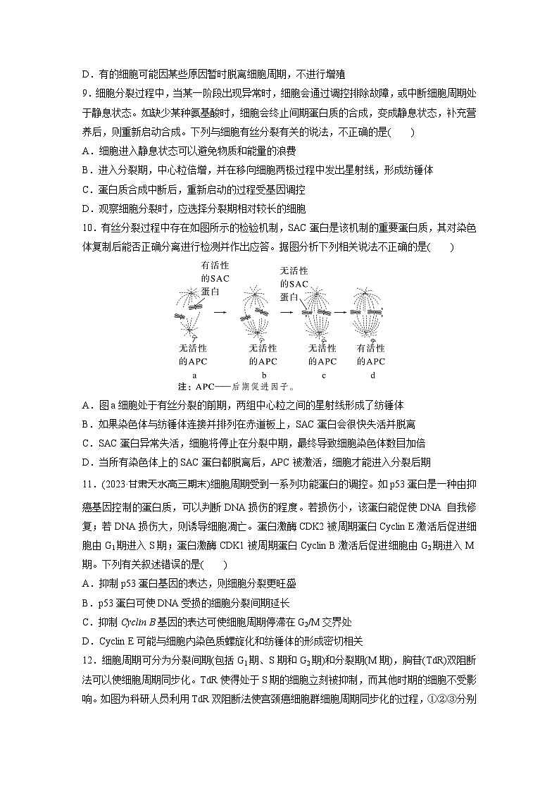 2024届高三生物一轮复习基础夯实练17：细胞的增殖第3页