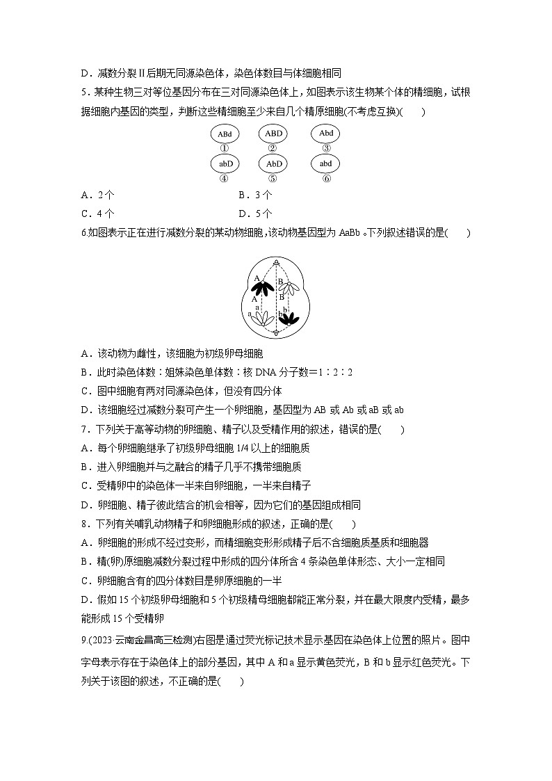2024届高三生物一轮复习基础夯实练19：减数分裂和受精作用第2页