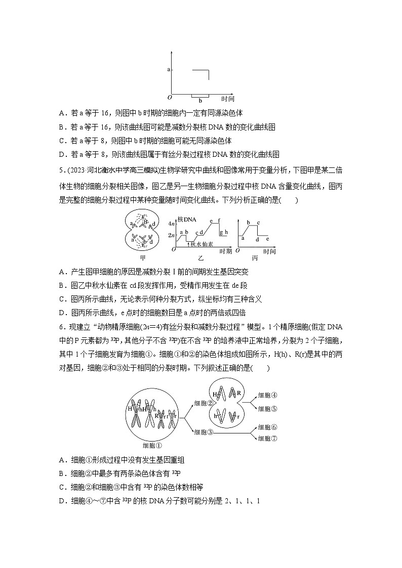 2024届高三生物一轮复习基础夯实练20：数分裂与有丝分裂的比较及观察蝗虫精母细胞减数分裂装片第2页