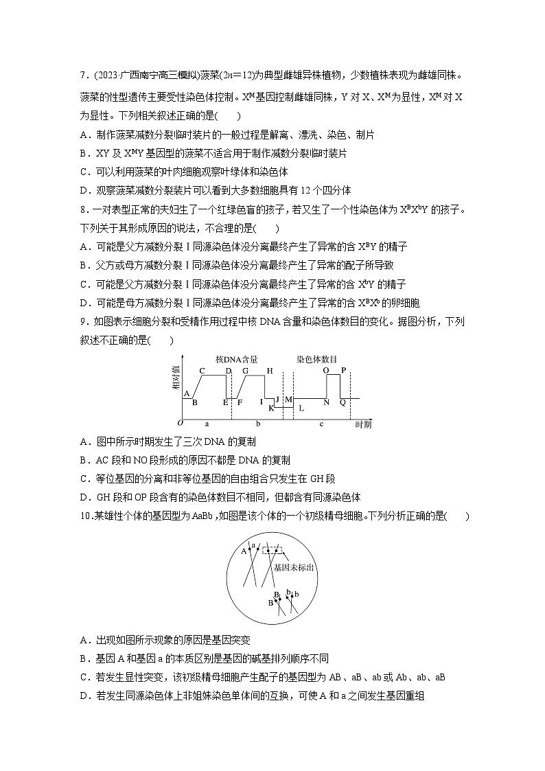 2024届高三生物一轮复习基础夯实练20：数分裂与有丝分裂的比较及观察蝗虫精母细胞减数分裂装片第3页