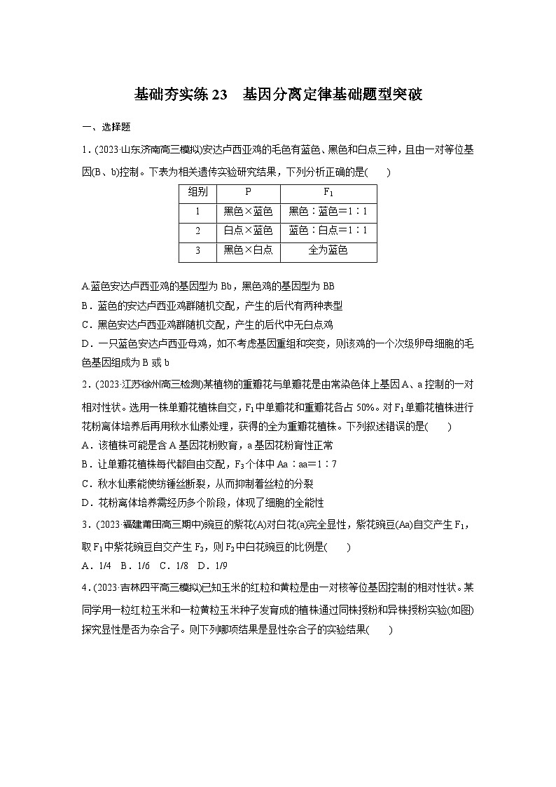 2024届高三生物一轮复习基础夯实练23：基因分离定律基础题型突破第1页