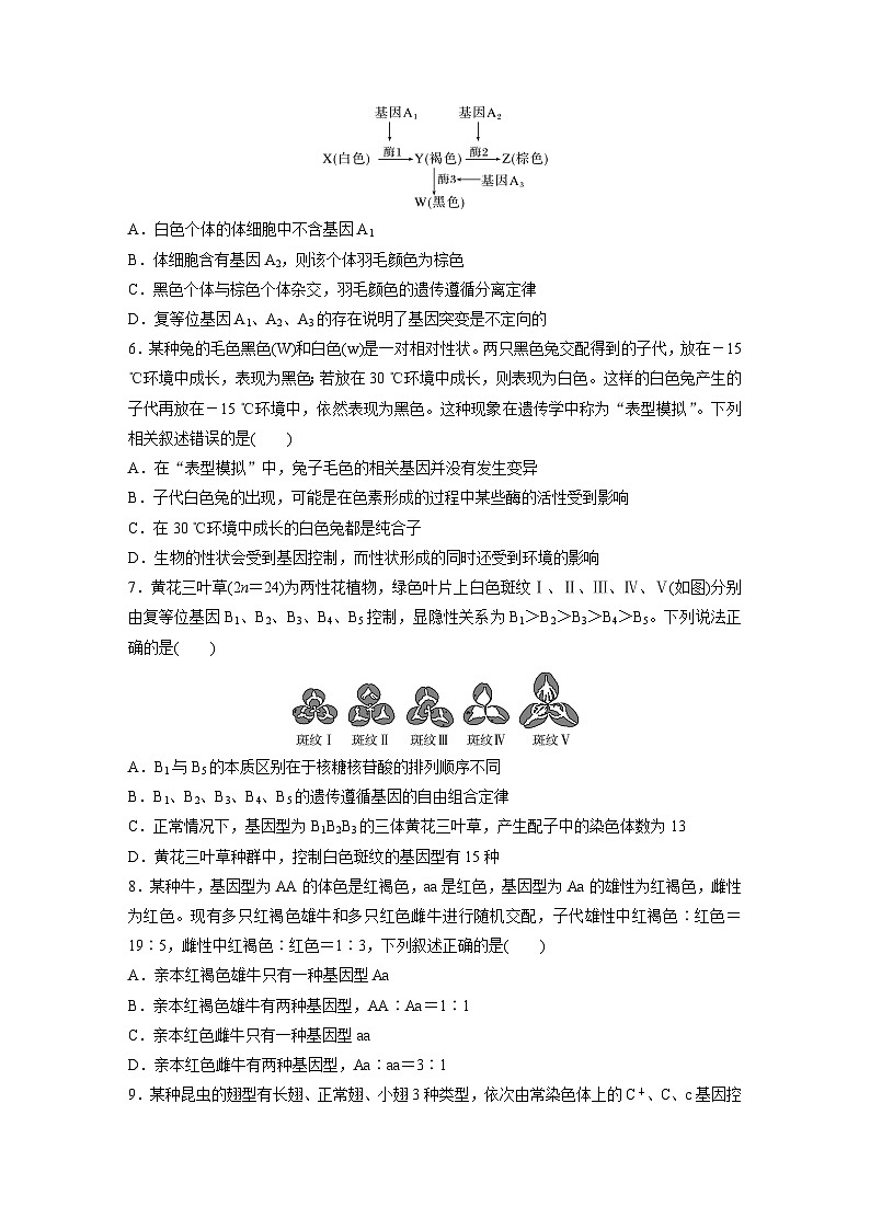 2024届高三生物一轮复习基础夯实练24：基因分离定律拓展题型突破第2页