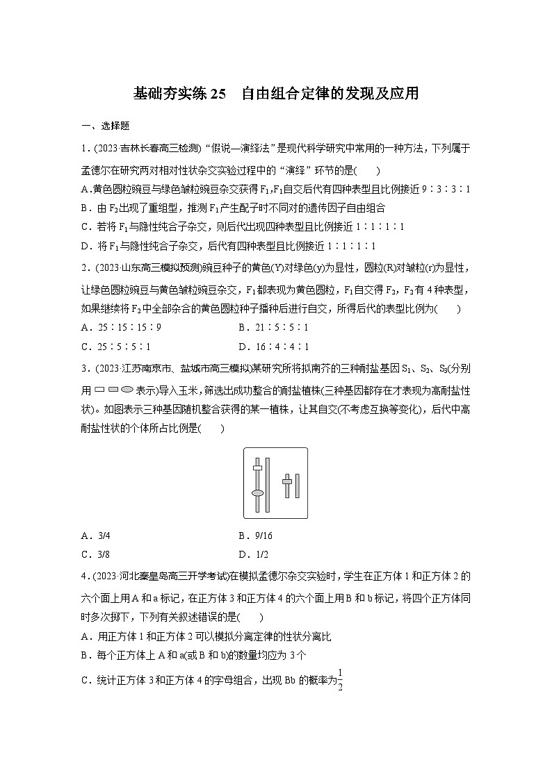 2024届高三生物一轮复习基础夯实练25：自由组合定律的发现及应用第1页