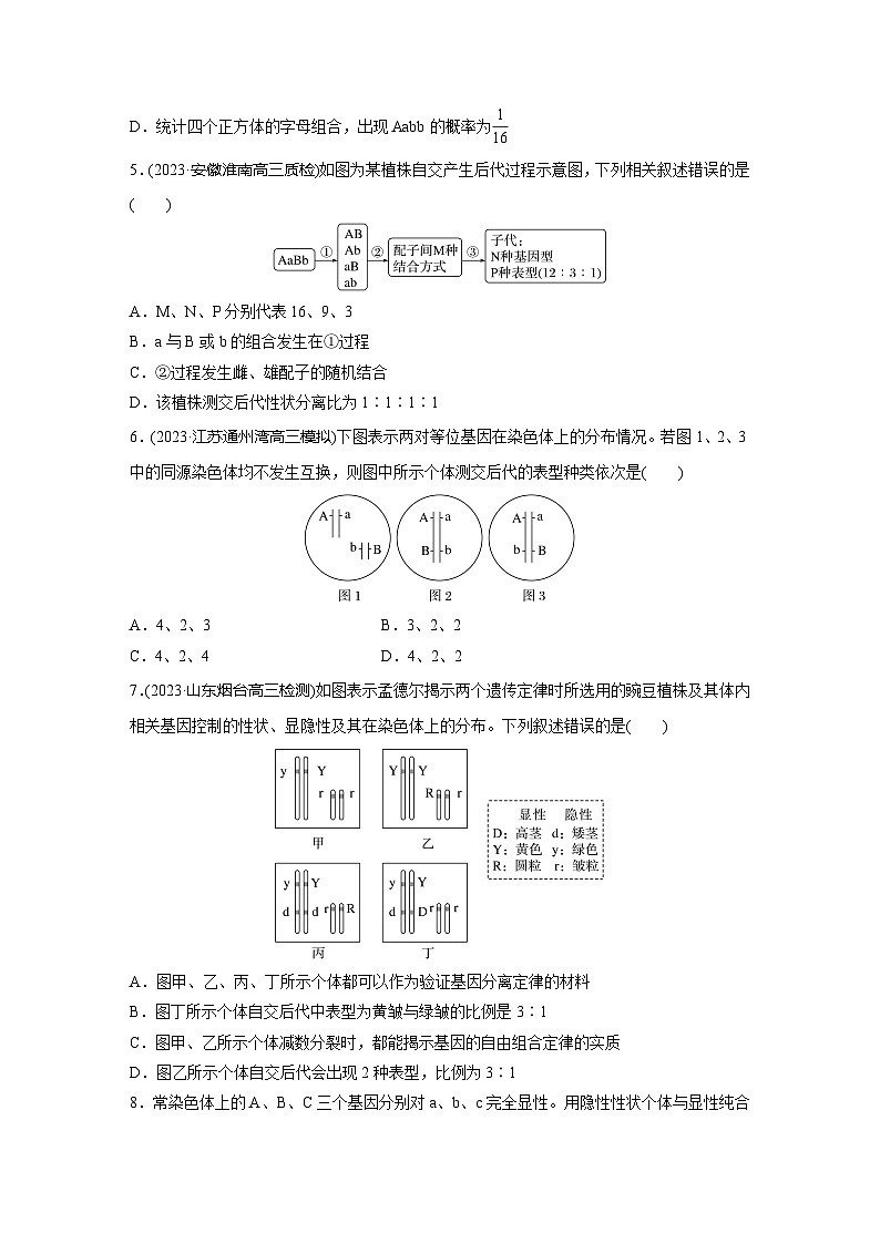 2024届高三生物一轮复习基础夯实练25：自由组合定律的发现及应用第2页