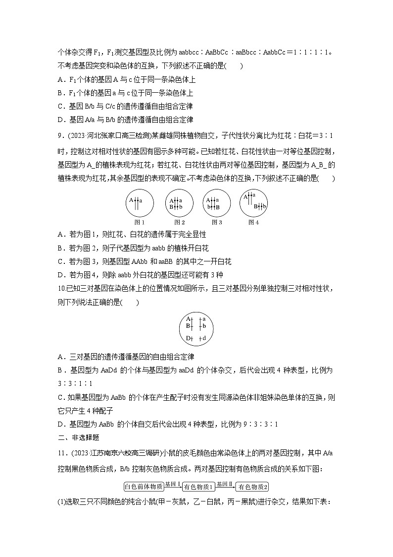 2024届高三生物一轮复习基础夯实练25：自由组合定律的发现及应用第3页