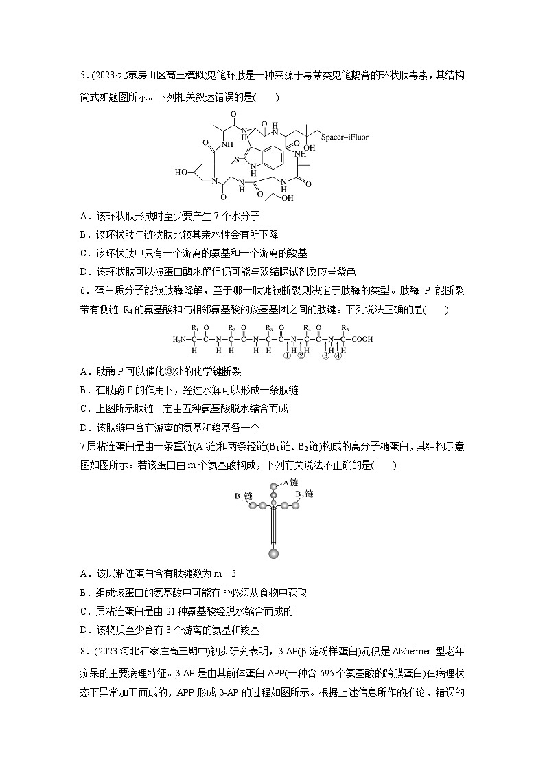 2024届高三生物一轮复习基础夯实练3：蛋白质是生命活动的主要承担者第2页